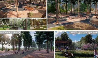 Зеленую зону для отдыха детей и взрослых обустроят в поселке Аэропорт