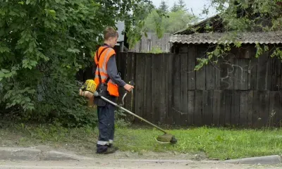 Мэр Белогорска раскритиковал ситуацию с покосом травы в городе