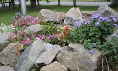 Штрафовать за хождение по газонам предложили депутаты Благовещенска