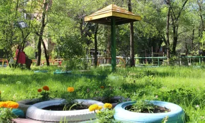 Директора управляющей организации наказали за шины во дворах