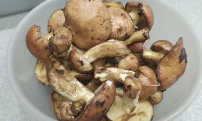 Тихон Страстной: много грибов в лесу - на следующий год будет хороший урожай хлеба