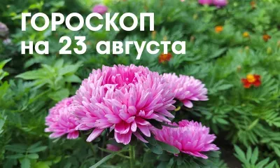 Незапланированные поездки окажутся приятными для Дев 23 августа