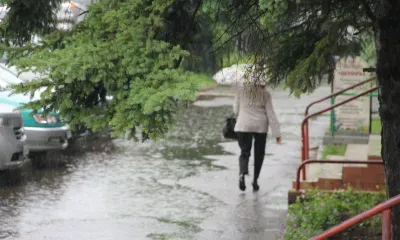 Кратковременные дожди пройдут в Приамурье 24 августа