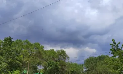 Теплая погода сохранится в Приамурье 1 сентября