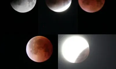 Лунное затмение наблюдали в Амурской области