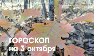 Приятные новости получат Овны 3 октября