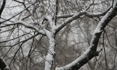 Циклон оставит след в Амурской области на следующей неделе