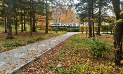 Иван Богослов: яркие звезды на небе - к потеплению, тусклые - к снегопаду