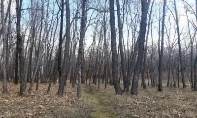 Феофан Милостивый: если вечером туман стоит - оставшаяся осень будет сухой и теплой