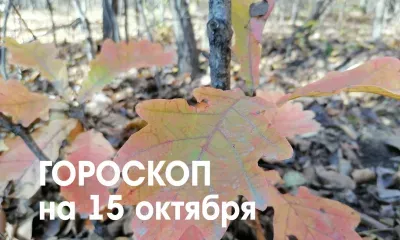 Возможности для карьерного роста неожиданно появятся у Дев 15 октября