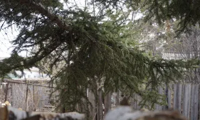 Ерофеев день: красный закат - к ветреной погоде