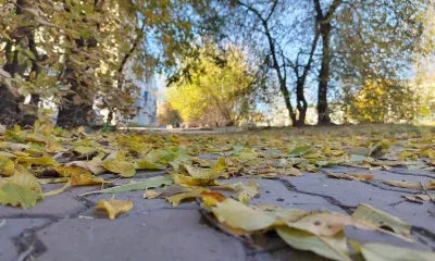 Переменная облачность в Амурской области 20 октября