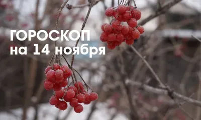 Внести изменения в свою жизнь желательно Девам 14 ноября