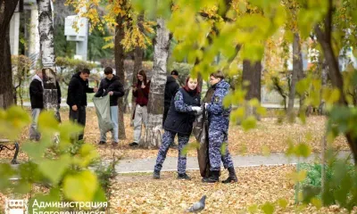 «Город берегу»: 510 тонн мусора собрали в Благовещенске за полтора месяца