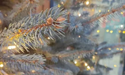 Украшение новогодними гирляндами может обернуться для россиян серьезными штрафами