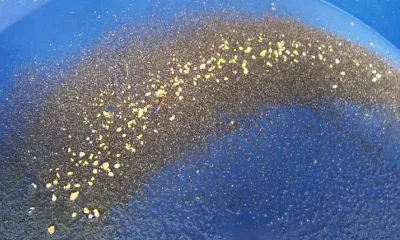 Старатель украл с драги шлихи, содержащие золото и серебро