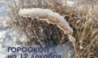 Проблемы решаются легко, финансы стремительно растут у Водолеев 12 декабря