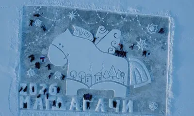 Ледовых открыток с лошадьми стало больше в Амурской области