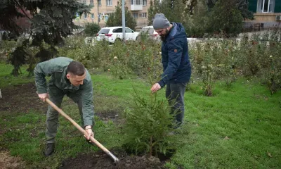 Ели и березы высадили амурчане на территории ДНР