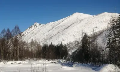 В Амурской области начнется масштабная "перепись" зверей и птиц