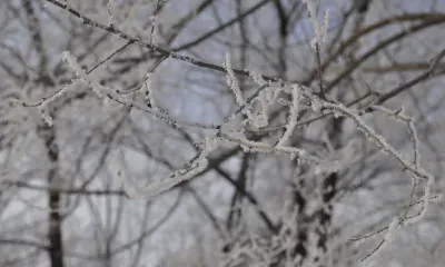 Снег и сильные морозы ожидаются в Амурской области 14 декабря