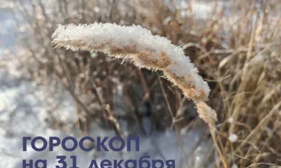 Порадовать близких вкусным праздничным ужином сумеют Девы 31 декабря