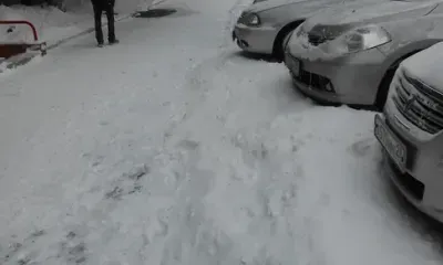 Режим повышенной готовности вводится на три дня в Благовещенске