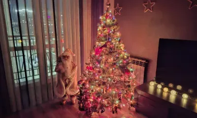 Лучшая елка: главным новогодним атрибутом похвастались амурчане