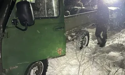 Браконьеров с семью тушами косуль задержали на границе двух округов Приамурья 