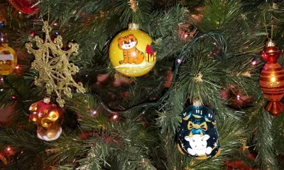 Как менялись традиции Рождества, рассказал ученый 