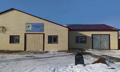 Автомобиль для бездомных собак появится у приюта «Теплый дом» в Приамурье