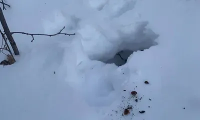 Беличий тайник нашли по следам на снегу в Приамурье