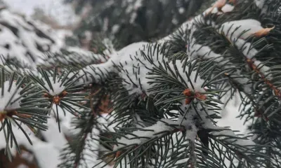 По северу и местами по югу Амурской области 13 января пройдет небольшой снег