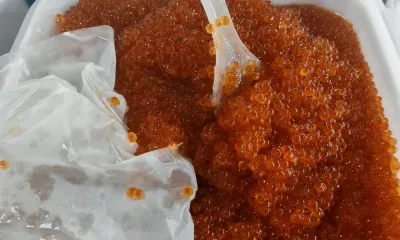 Красная икра с пользой: какой должна быть безопасная норма