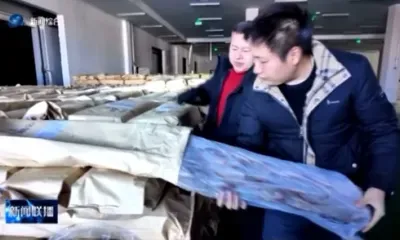 Ценная рыба: карасей из России впервые завезла компания из приграничного Китая