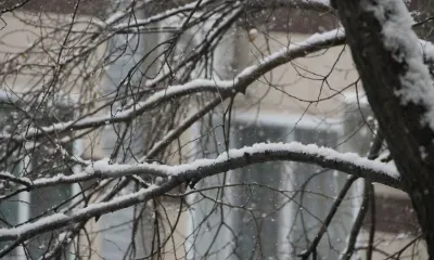 Небольшой снег пройдет в Амурской области 17 января