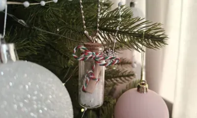 Новогодние каникулы для детей из приютов прошли в амурских семьях