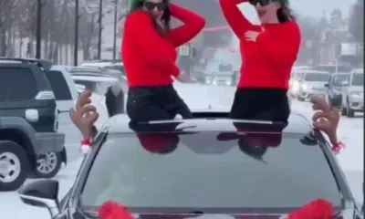 Лексус с танцующими девушками: в Благовещенске наказали водителя за новогодние покатушки