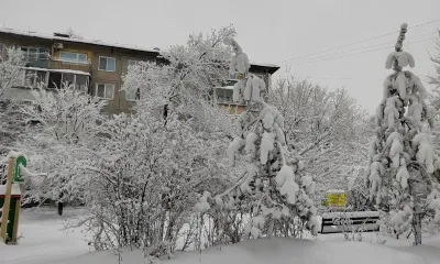 Умеренный мороз сохранится в Приамурье 19 января