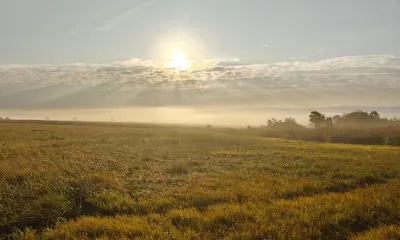 Энергия Солнца и ветра: новые электростанции появятся в Приамурье в ближайшие годы