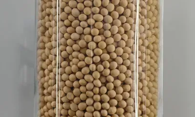 11 стран получили сельскохозяйственную продукцию из Амурской области