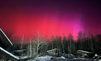 Красота в темноте: северное сияние сняли на камеру в Приамурье 
