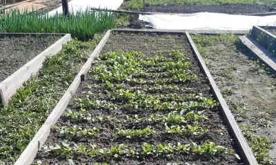 Амурчане самовольно занимают земли и не используют свои участки