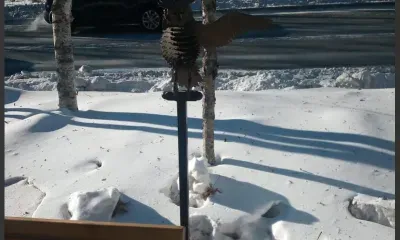 Крыло оторвали металлической сове в Тынде