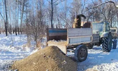 Охотоведы обеспечили копытных в амурских заказниках зерном и сольюи