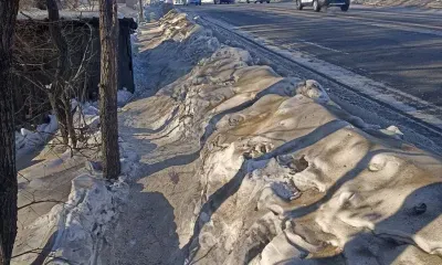 Тропинка вместо тротуара: зону для пешеходов раскритиковали в Благовещенске