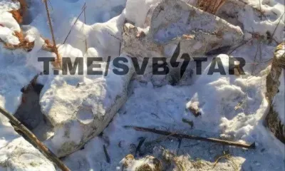 Свалку с останками животных обнаружили у дороги в Свободном