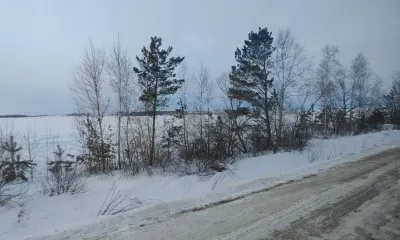 Ветер местами в Амурской области 27 января усилится до 13 м/с