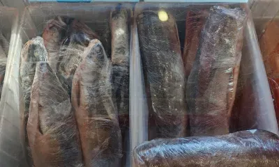 Уровень холестерина поможет снизить 30 грамм скумбрии в день