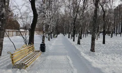 Преимущественно без осадков в Амурской области 30 января